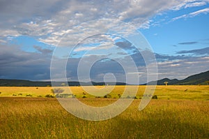 African savanna landscape, Masai Mara, Kenya, Africa