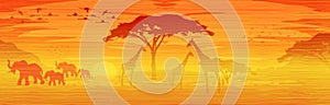 African savanna landscape at sunset, Silhouettes of animals and plants, nature of Africa. Reserves and national parks, orange