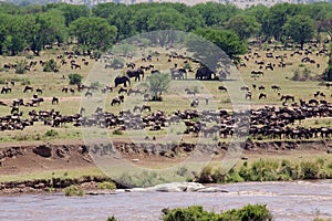 African savanna photo