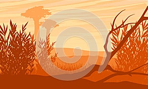 African savanna silhouette with tree branch, tall shrub and baobabs.