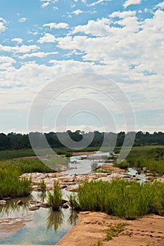 African savannah