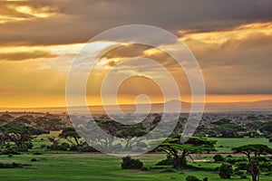 African savannah in Amboseli National Park