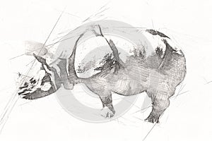 African savannah animal rhinoceros in cartoon style. Educational zoology illustration for design