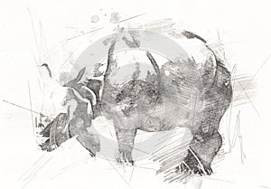 African savannah animal rhinoceros in cartoon style. Educational zoology illustration for design