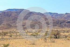 African savannah during a hot day. Namibia