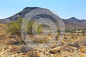 African savannah during a hot day. Namibia