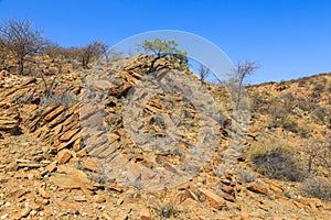 African savannah during a hot day. Oanob, Namibia