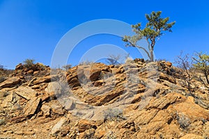 African savannah during a hot day. Oanob, Namibia