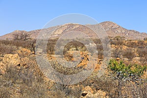 African savannah during a hot day. Oanob, Namibia