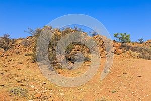 African savannah during a hot day. Oanob, Namibia