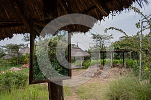 The African savannah in Kenya