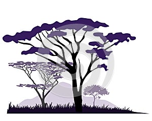 African savannah landscape with acacia and baobab tree silhouettes.