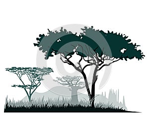 African savannah landscape with acacia and baobab tree silhouettes.