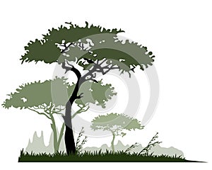 African savannah landscape with acacia tree silhouettes.