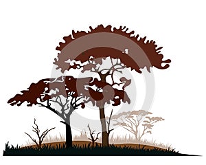 African savannah landscape with acacia tree silhouettes.