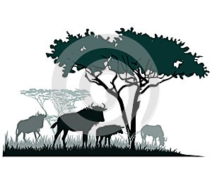 African savannah landscape with antelope wildebeest silhouettes.