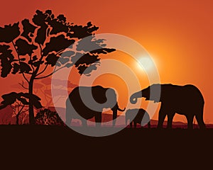 African savannah landscape with elephants silhouettes, red background.