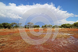 African savannah landscape after rains photo