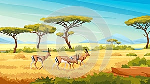African savannah landscape with wild roe deers