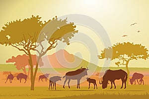 African savannah landscape with wildebeest silhouettes, midday sun, yellow background.