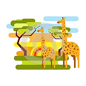 African savannah safari and giraffe summer vacation vector