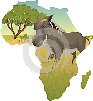 African savannah with warthog - vector illustration