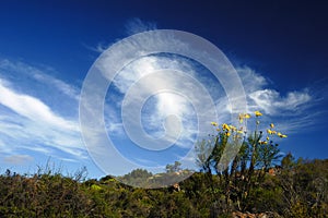 African Sky (Cederberg)