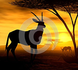 African Spirit - The Antelope