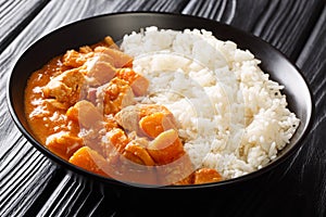 African stew Domoda with peanuts cooked with chicken pumpkin and served with rice close-up in a plate. horizontal