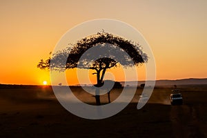 African sunrise with acacia trees and safari cars in Masai Mara, Kenya. Savannah background in Africa. Safari concept