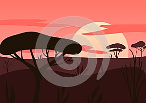 African sunrise. Coral, brown trees, clouds, rising sun, Summer high contrast landscape. Vector illustration for 2d
