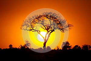 African sunset