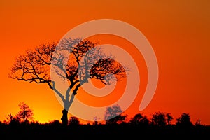 African sunset