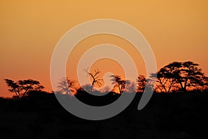 African Sunset