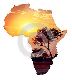 African sunset with acacia, Map of africa concept