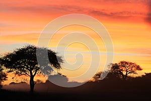 African Sunset - Background of color, beauty and harmony