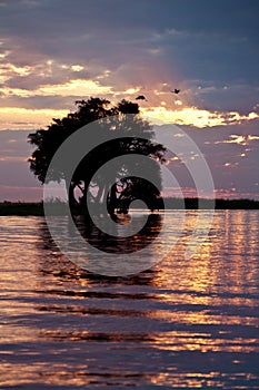 African Sunset - Botswana