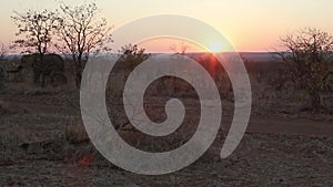 African Sunset with Elephants