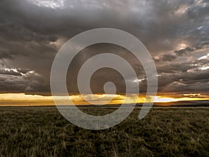 African sunset in the Masai Mara