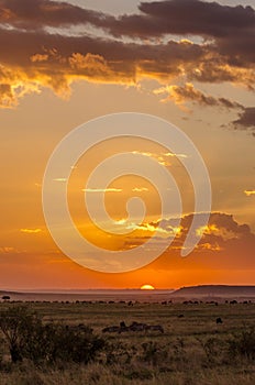 African sunset in the Masai Mara