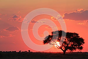 African Sunset - Observing the burning planet from afar