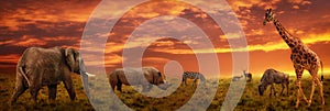 African sunset panoramic background with silhouette of animals