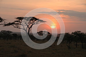 African sunset, Serengeti National Park, Tanzania