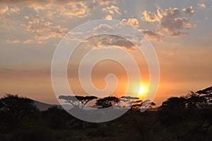 African Sunset