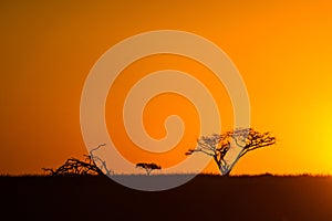 African Sunset South Africa