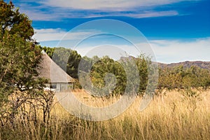 African thatched hut in the bush veld
