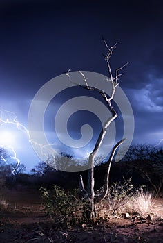 African Thunderstorm