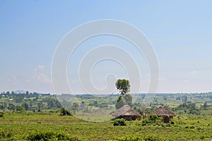 African traditional huts in Kenya