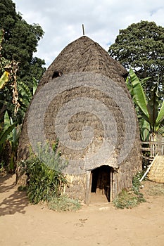 African tribal hut