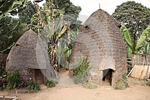 African tribal huts photo